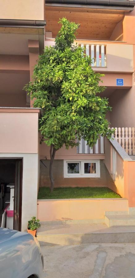 Apartmani Damant Zadar Pokoj fotografie